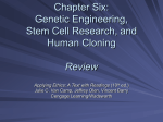 Chapter Six: Human Cloning