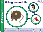Biology Around Us (Part 1)