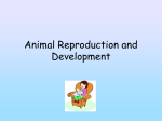 Animal Reproduction and Development
