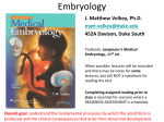 Embryology01-FertilizationToGastrulation