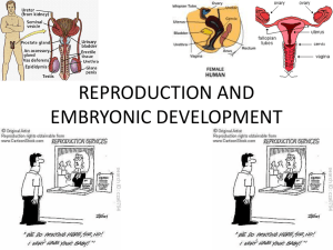 REPRODUCTION AND EMBRYONIC DEVELOPMENT