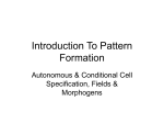 Introduction To Pattern Formation
