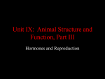 Unit IX: Animal Structure and Function, Part III