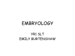 EMBRYOLOGY