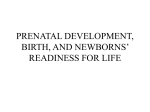 prenatal development, birth, and newborns` readiness for life