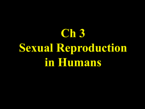Chapter 2 Sexual Reproduction