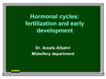 Anatomy of the female reproductive system