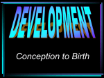 Development ppt