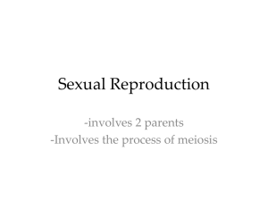 Sexual Reproduction