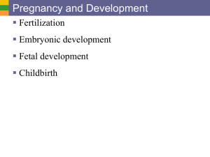 10b Repro Sys III- Pregn Developmt