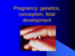 3_conception, fetal development
