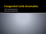 Limb Anomalies
