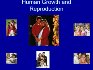 Human Growth & Reproduction