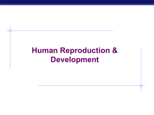 human reproduction and development regents 09