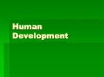 9 Human Development