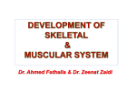 L10-development of s..