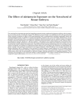 The Effect of Adriamycin Exposure on the Notochord of Mouse Embryos