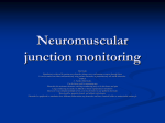 Neuromuscular junction monitoring