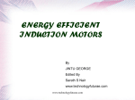 ENERGY EFFICIENT INDUCTION MOTORS