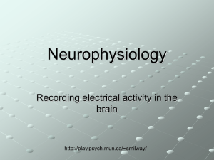 Neurophysiology - Memorial University of Newfoundland