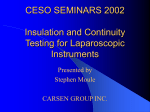 CESO SEMINARS 2002 Insulation Testing and Continuity for