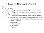Project: Electronic Cricket