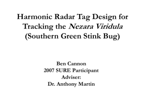 Harmonic Radar Tag Design for Tracking the Nezara Viridula
