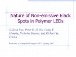 Nature of Non-emissive Black Spots in Polymer LEDs