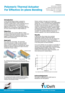 Polymer Micro Actuator