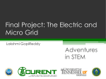 Electric and Micro Grids Power Point