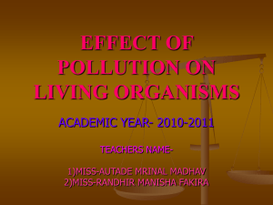 EFFECT OF POLLUTION ON LIVING ORGANISMS