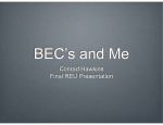 BEC’s and Me Conrad Hawkins Final REU Presentation