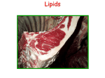 Lipids (PowerPoint)
