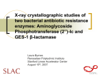 Crystallographic studies of two bacterial antibiotic