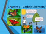 Chapter 8 – Carbon Chemistry