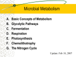 Microbial Metabolism - Accelerated Learning Center, Inc.