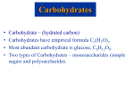 Carbohydrates B3