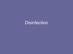 Disinfection MSc