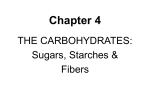 Chapter 2 - CARBOHYDRATES