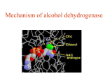 9- alcohol_dehydrogenase_mechanism