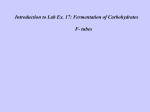 Introduction to Lab Ex. 17: Fermentation of Carbohydrates F