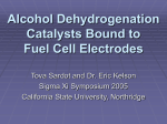 Alcohol Dehydrogenation Catalysts Bound to Fuel Cell Electrodes