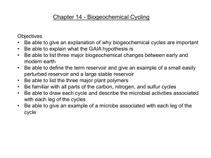 Chapter 14 cycles