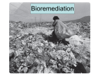 Lecture #3 - Bioremediation