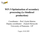 Glycerol from biodiesel production – Existing and new glycerol