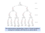 Figure 11-1 The stereochemical relationships, shown in Fischer