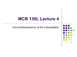 MCB 130L Lecture 4 - Department of Molecular & Cell Biology