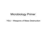 Microbiology Primer