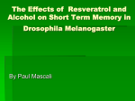 mascp.adv_resveratrol_stm