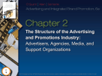 The Structure of the Advertising and Promotions Industry